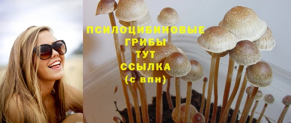 МДПВ Армянск