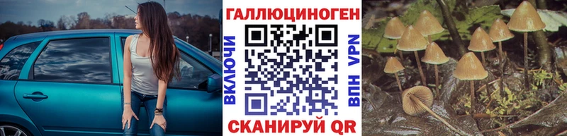 Галлюциногенные грибы прущие грибы  Купить  Касимов 